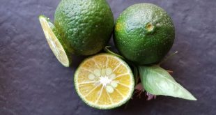 Tesco sprzedaje zielone mandarynki, aby zapobiegać marnotrawstwu